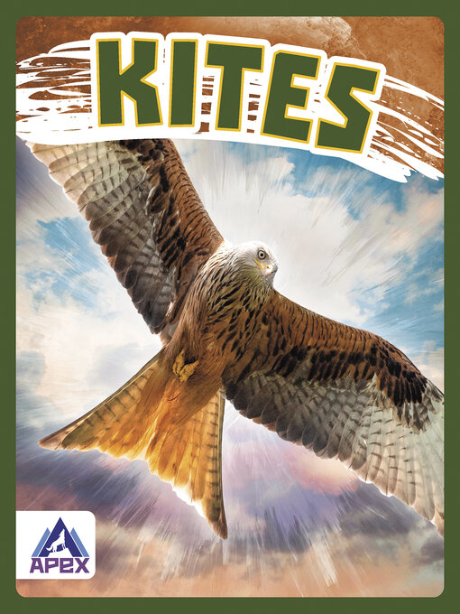 Title details for Kites by Connor Stratton - Available